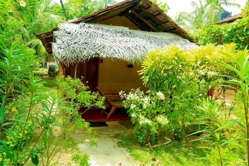 自然小屋住宿加早餐旅馆 Kanattegoda 外观 照片