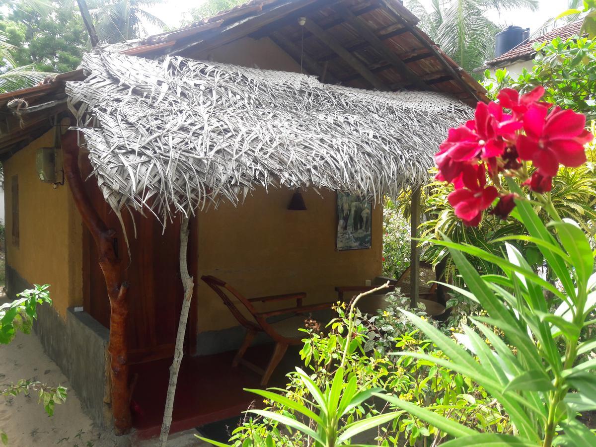 自然小屋住宿加早餐旅馆 Kanattegoda 外观 照片