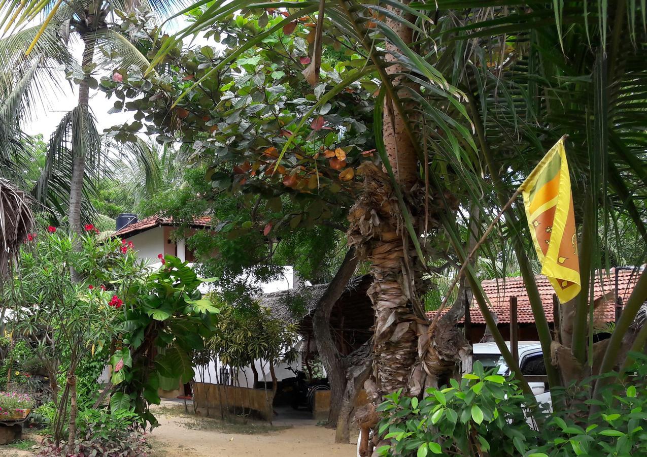 自然小屋住宿加早餐旅馆 Kanattegoda 外观 照片