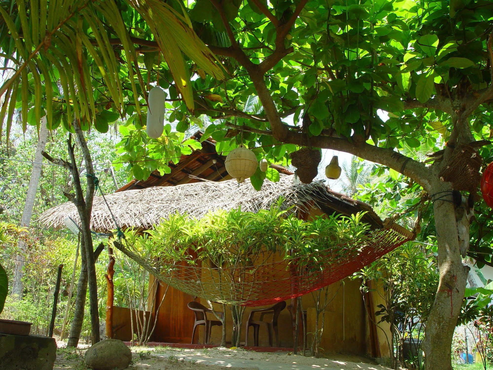自然小屋住宿加早餐旅馆 Kanattegoda 外观 照片